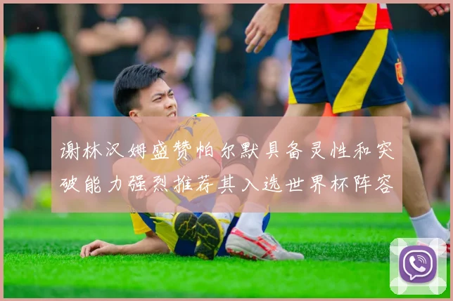 谢林汉姆盛赞帕尔默具备灵性和突破能力强烈推荐其入选世界杯阵容