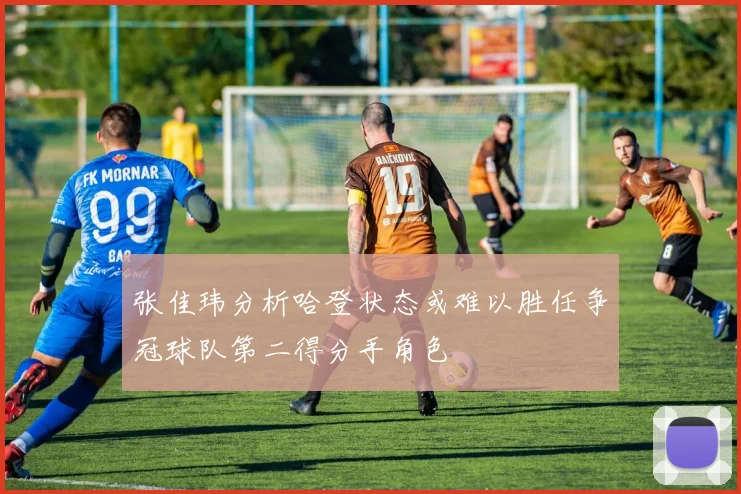 张佳玮分析哈登状态或难以胜任争冠球队第二得分手角色